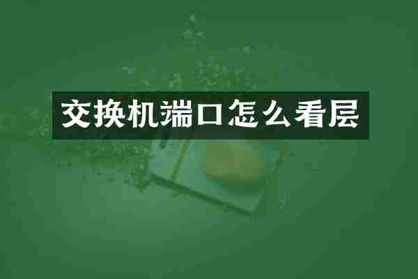 交换机端口怎么看层