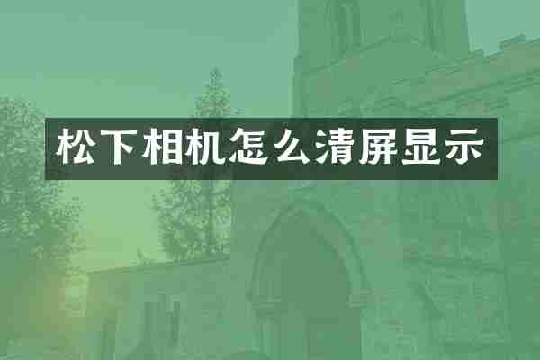 松下相机怎么清屏显示