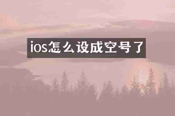 ios怎么设成空号了