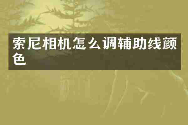 索尼相机怎么调辅助线颜色