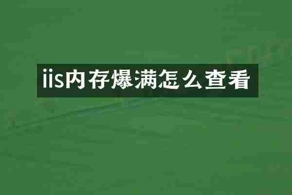 iis内存爆满怎么查看