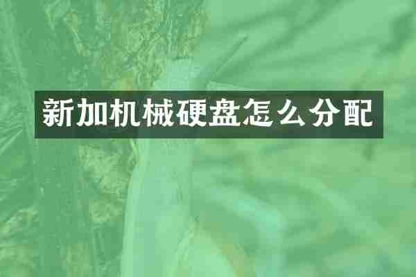 新加机械硬盘怎么分配