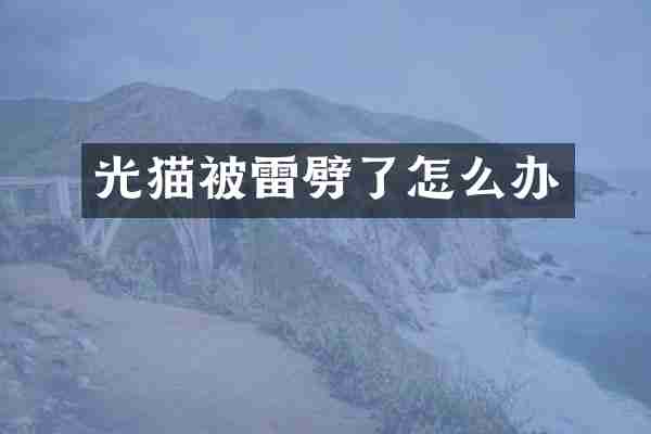 光猫被雷劈了怎么办