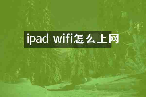 ipad wifi怎么上网