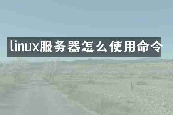 linux服务器怎么使用命令