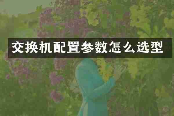 交换机配置参数怎么选型