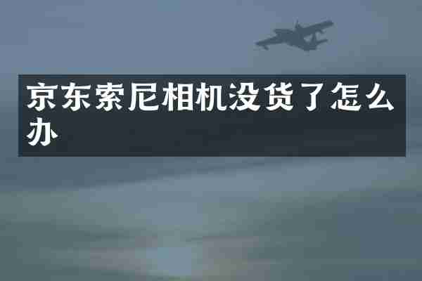 京东相机没货了怎么办