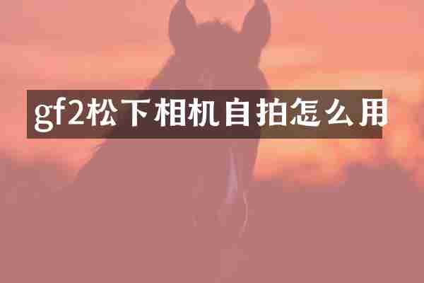gf2松下相机自拍怎么用