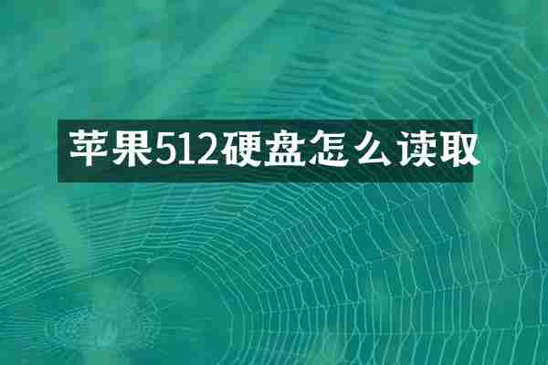 苹果512硬盘怎么读取