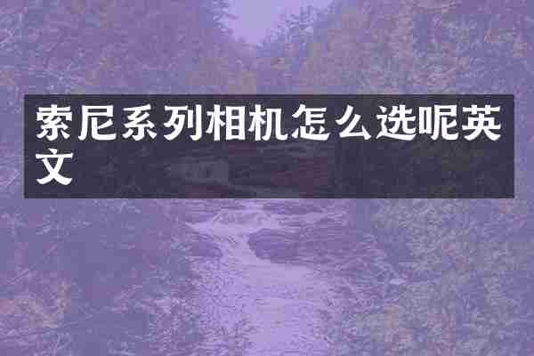 系列相机怎么选呢英文
