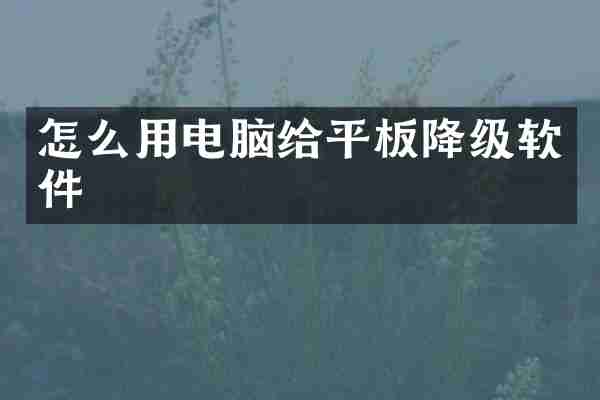 怎么用电脑给平板降级软件