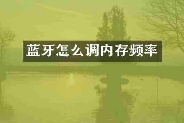 蓝牙怎么调内存频率