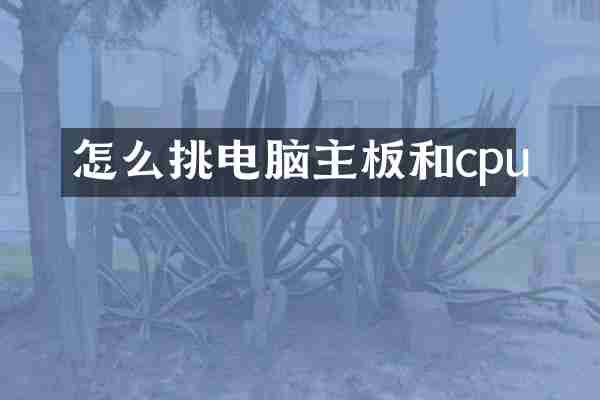 怎么挑电脑主板和cpu