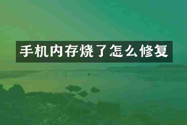 手机内存烧了怎么修复