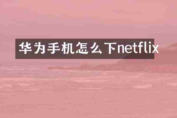 华为手机怎么下netflix