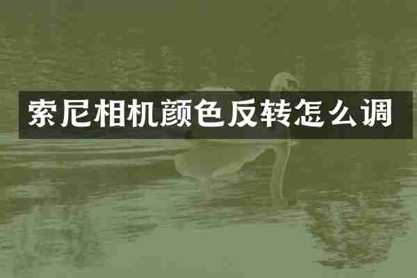 相机颜色反转怎么调