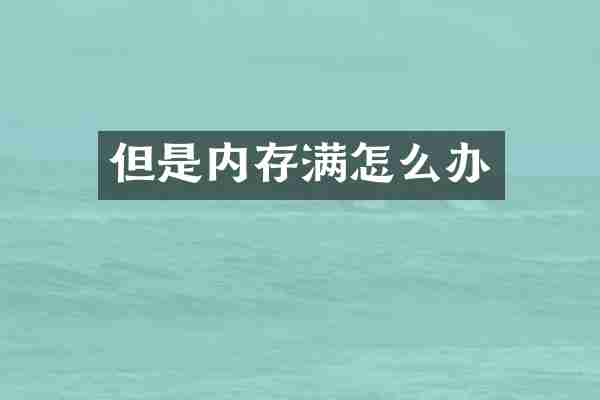 但是内存满怎么办
