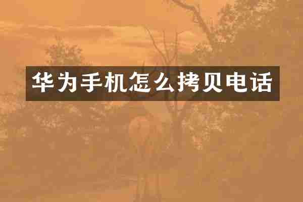 华为手机怎么拷贝电话