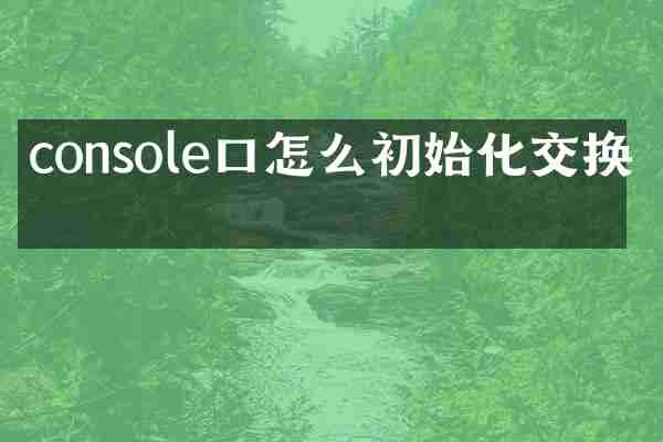 console口怎么初始化交换机