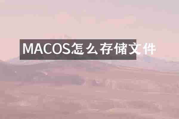 MACOS怎么存储文件