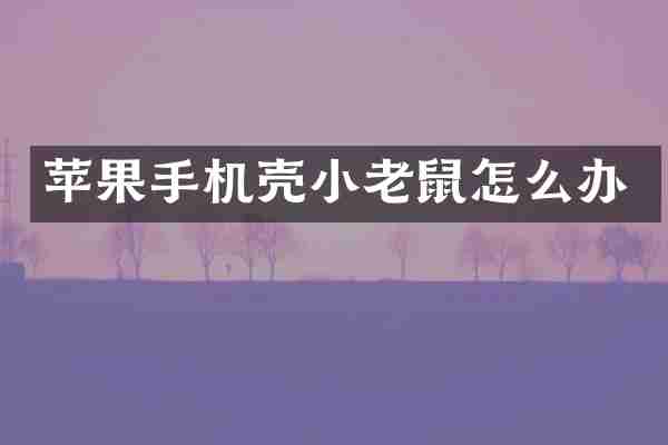 苹果手机壳小老鼠怎么办
