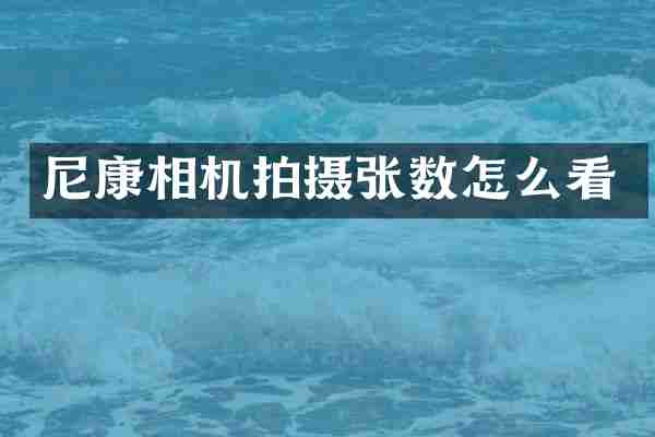 尼康相机拍摄张数怎么看