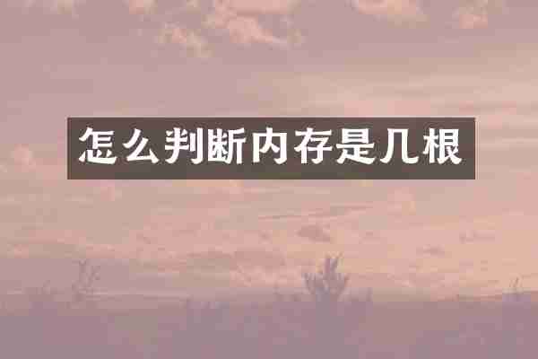 怎么判断内存是几根