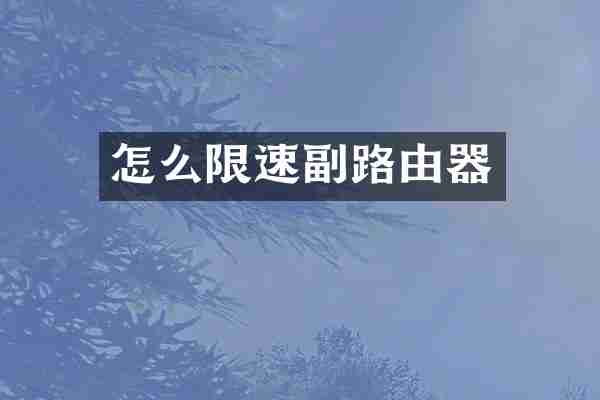 怎么限速副路由器