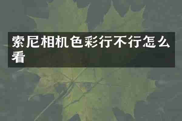 相机色彩行不行怎么看