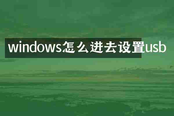 windows怎么进去设置usb