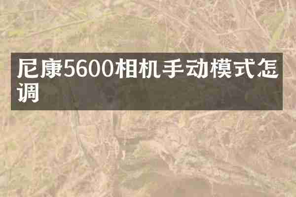 尼康5600相机手动模式怎么调