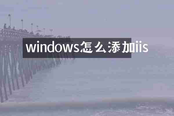 windows怎么添加iis