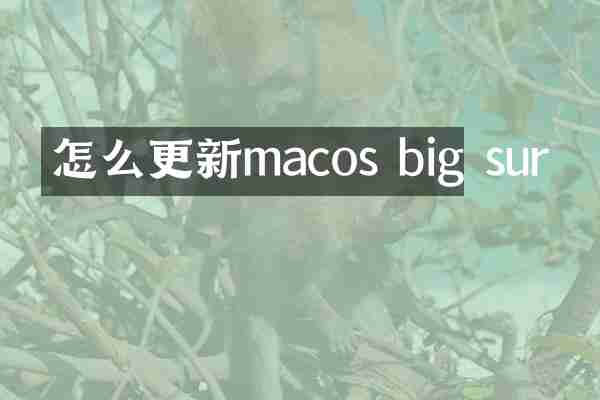 怎么更新macos big sur
