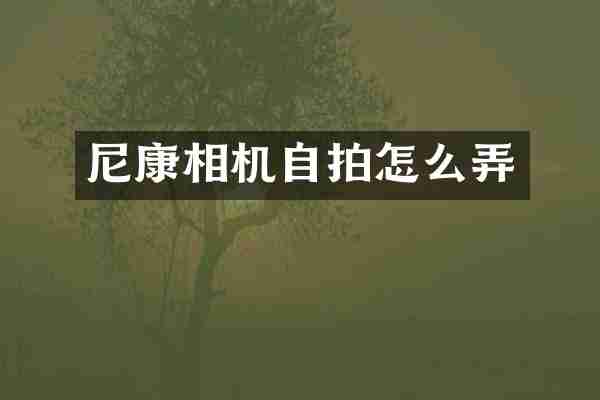 尼康相机怎么弄