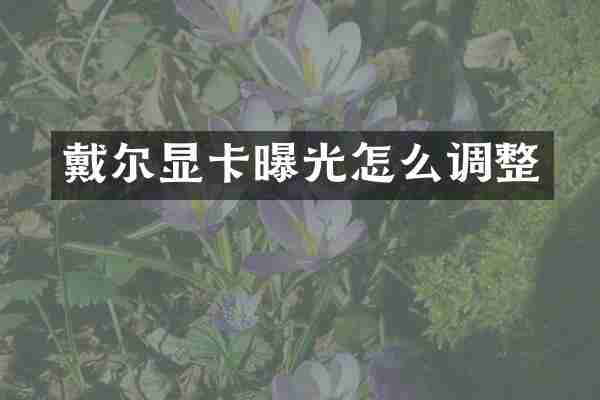 戴尔显卡曝光怎么调整