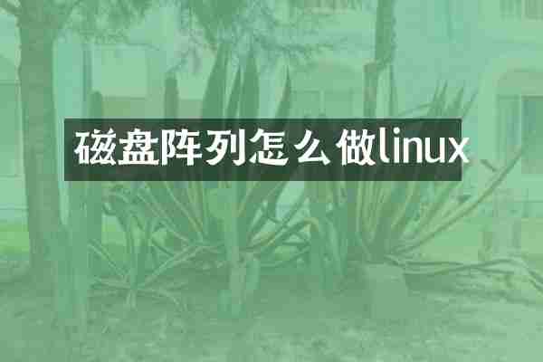 磁盘阵列怎么做linux
