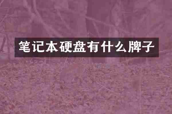 笔记本硬盘有什么牌子