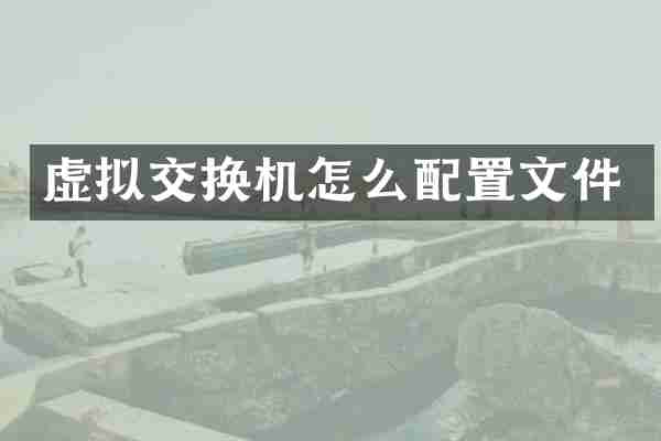 虚拟交换机怎么配置文件