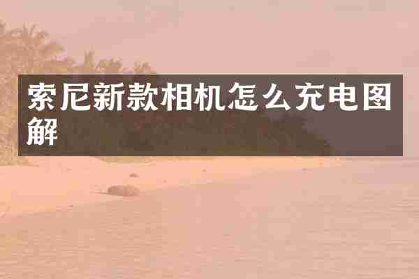 新款相机怎么充电图解