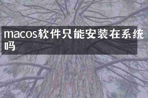 macos软件只能安装在系统盘吗