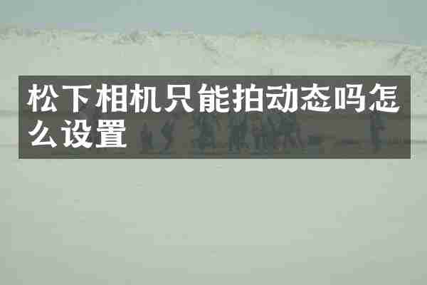 松下相机只能拍动态吗怎么设置