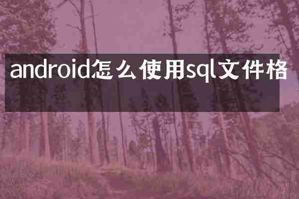 android怎么使用sql文件格式