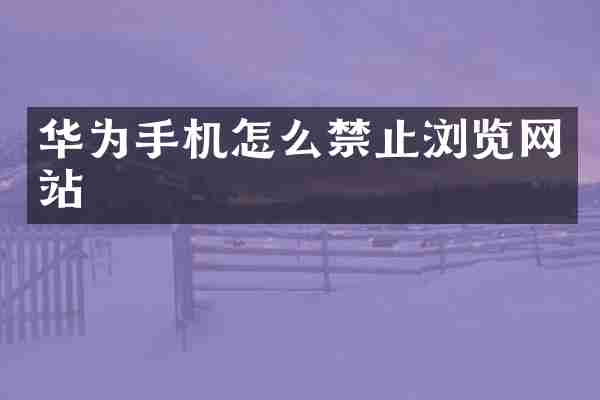 华为手机怎么禁止浏览网站
