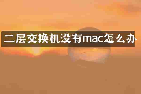 二层交换机没有mac怎么办