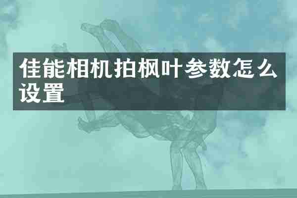 佳能相机拍枫叶参数怎么设置