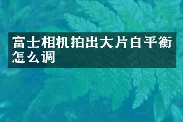 富士相机拍出大片白平衡怎么调