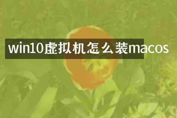 win10虚拟机怎么装macos