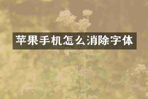 苹果手机怎么消除字体