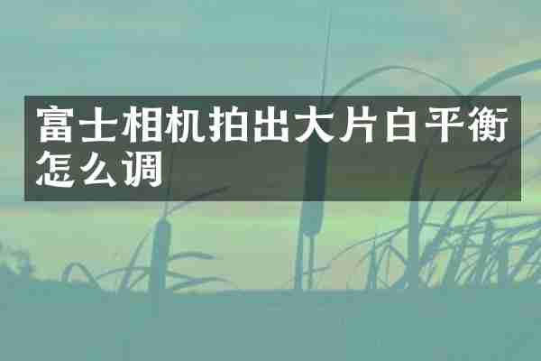富士相机拍出大片白平衡怎么调
