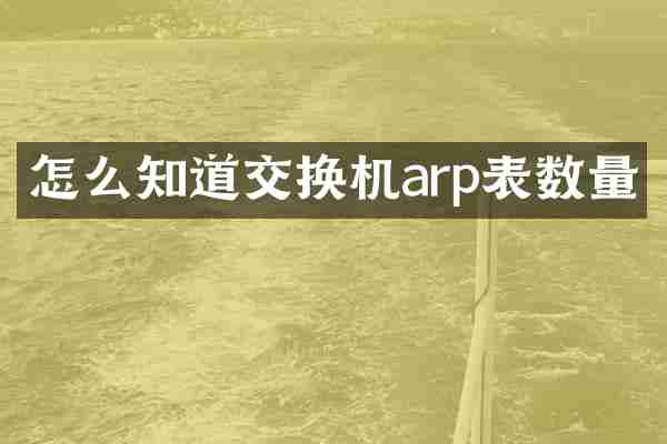 怎么知道交换机arp表数量